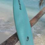 BuFo-Shortboard (Hydroflex) 6’5“ (Epoxy)